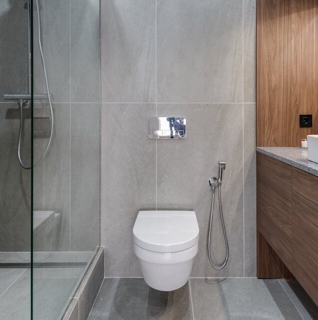 Chiang Mai Toilet Example