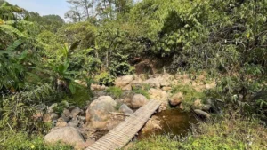 Lonliness in Chiang Mai